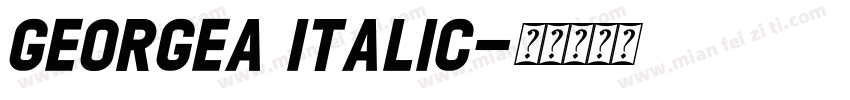GEORGEA Italic字体转换